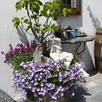 Vacation Mechelhof Vakantiehuis Leffinge