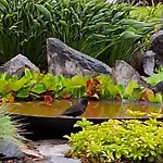 Vakantiehuis Vacation Mechelhof *