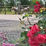 Vacation Mechelhof Vakantiehuis Leffinge