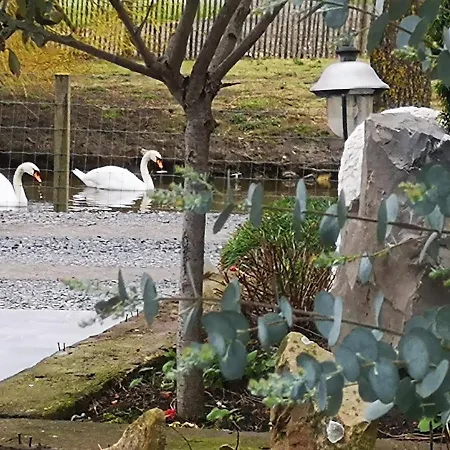 Vacation Mechelhof Ferienhaus Leffinge