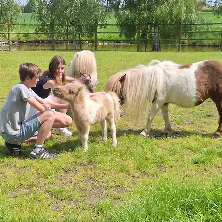 Vacation Mechelhof Prázdninový dům Leffinge