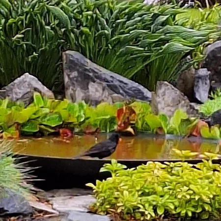 Dom wakacyjny Vacation Mechelhof *