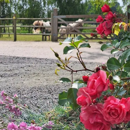 Vacation Mechelhof Prázdninový dům Leffinge