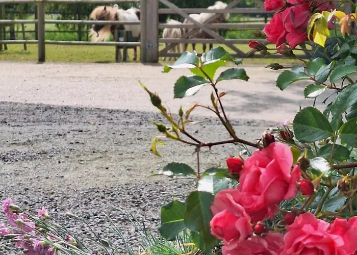 Vacation Mechelhof Nyaraló Leffinge