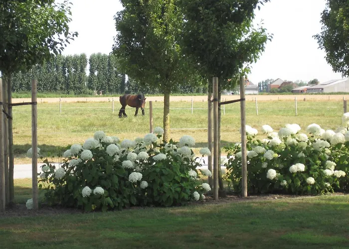 Vacation Mechelhof * Leffinge